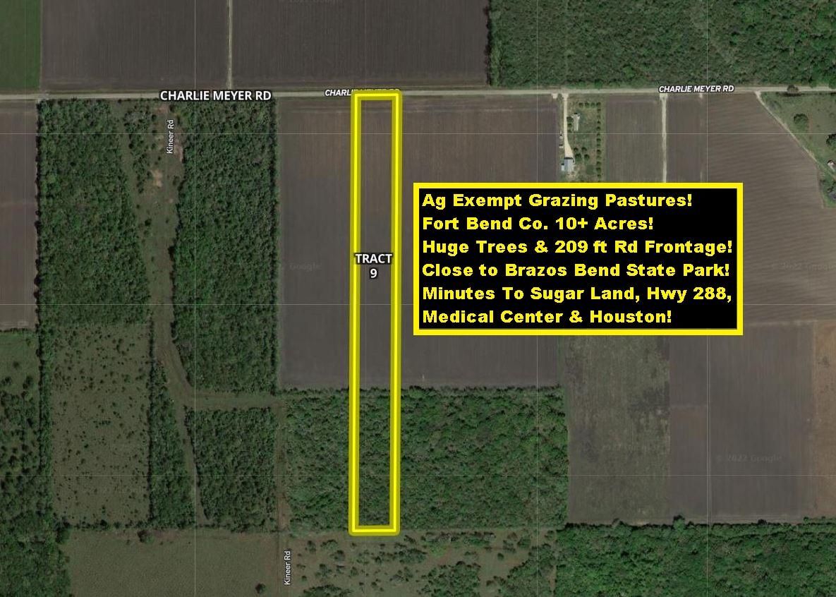 Damon, Fort Bend County, TX Farms and Ranches for sale Property ID