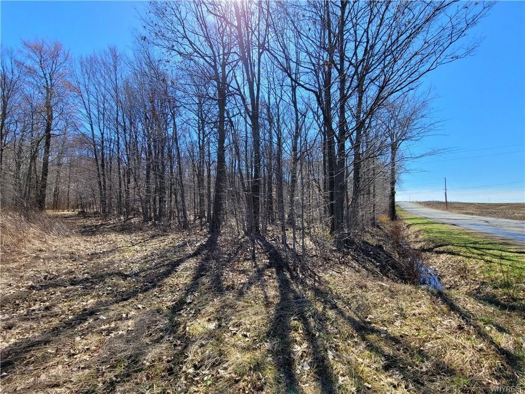 Castile, Wyoming County, NY Farms and Ranches, Homesites for sale