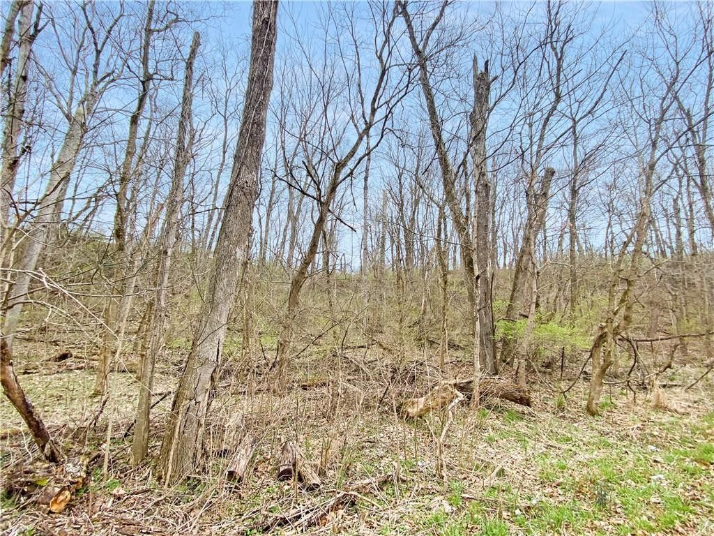 0 N County Road 600 E, Brownsburg, IN 46112 MLS 21849142 LandWatch