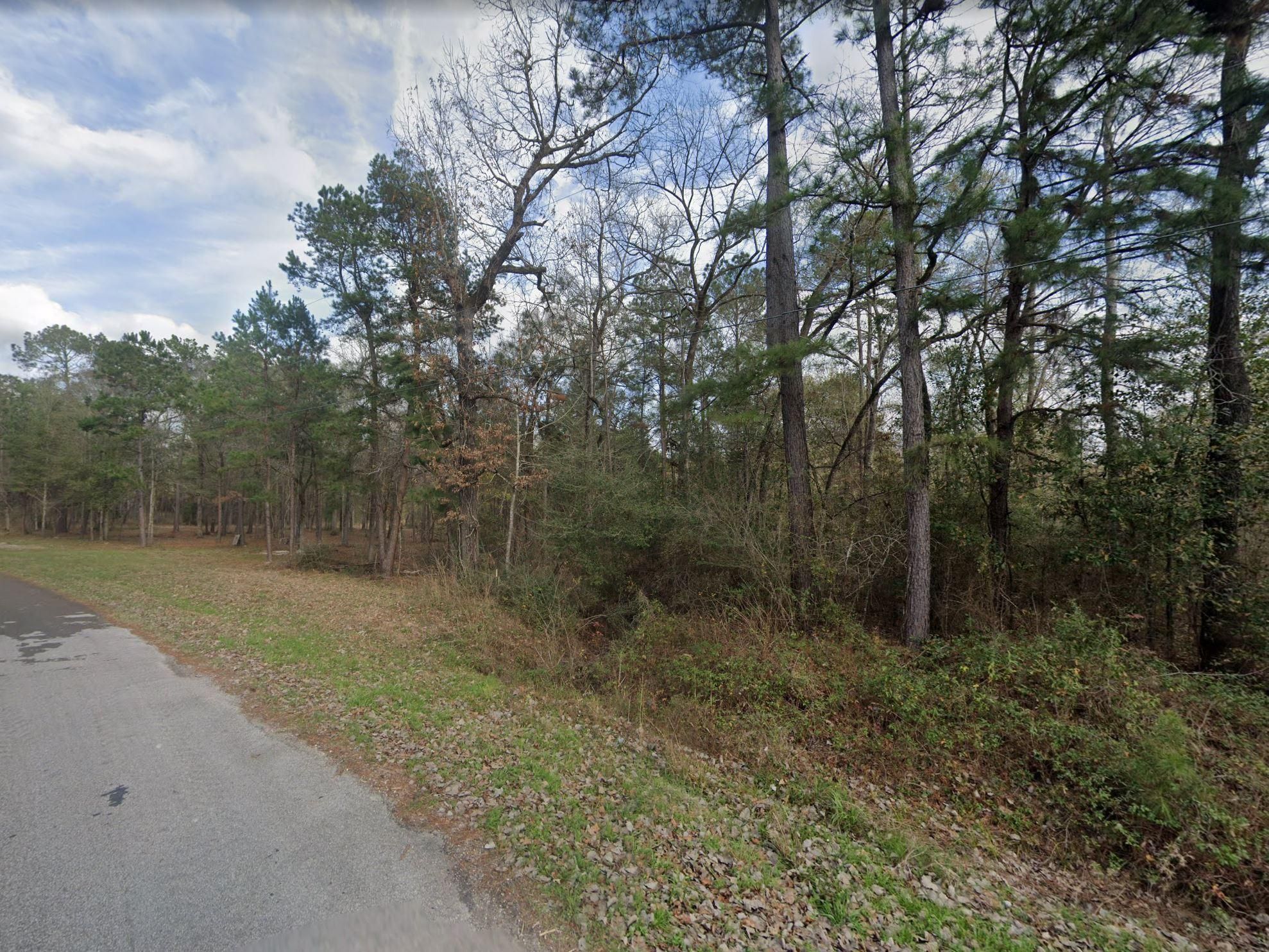 Huntsville, Walker County, TX Recreational Property, Undeveloped Land