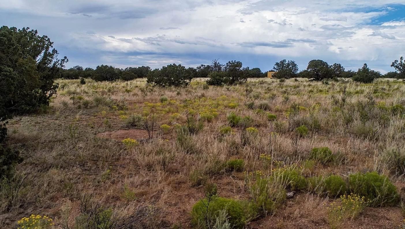 Williams, Coconino County, AZ Recreational Property, Undeveloped Land