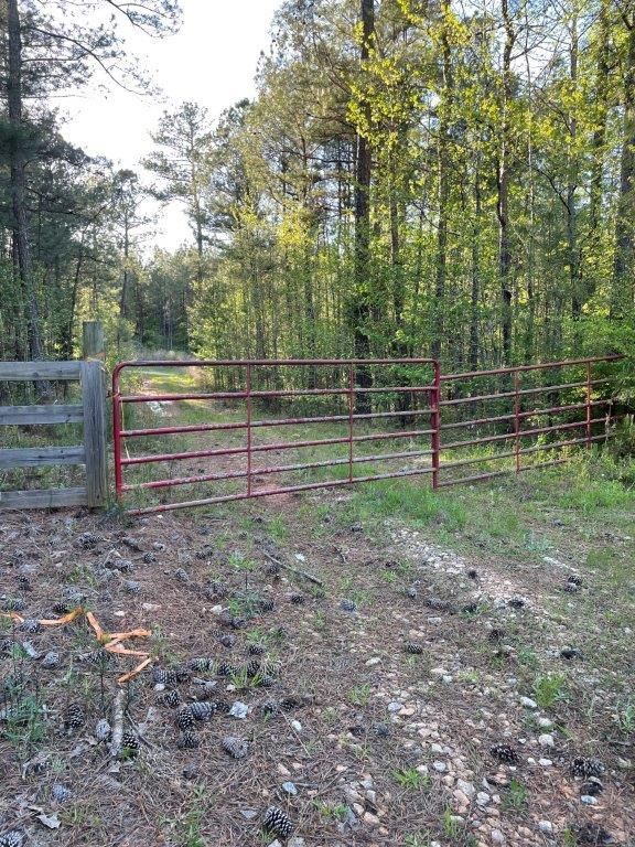 Lexington, Oglethorpe County, GA Recreational Property, Hunting