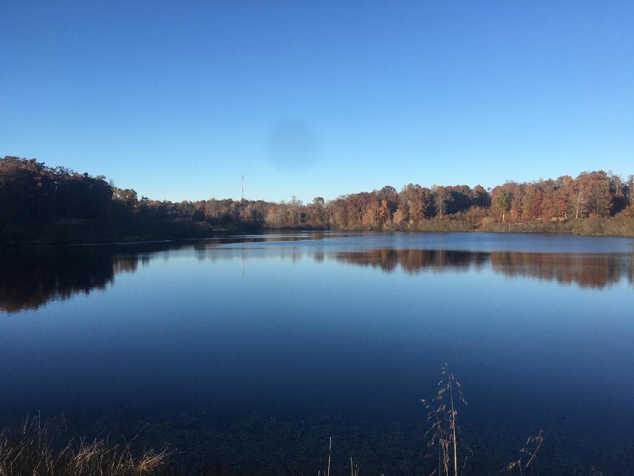 Cedar Grove, Henderson County, TN Undeveloped Land, Lakefront Property