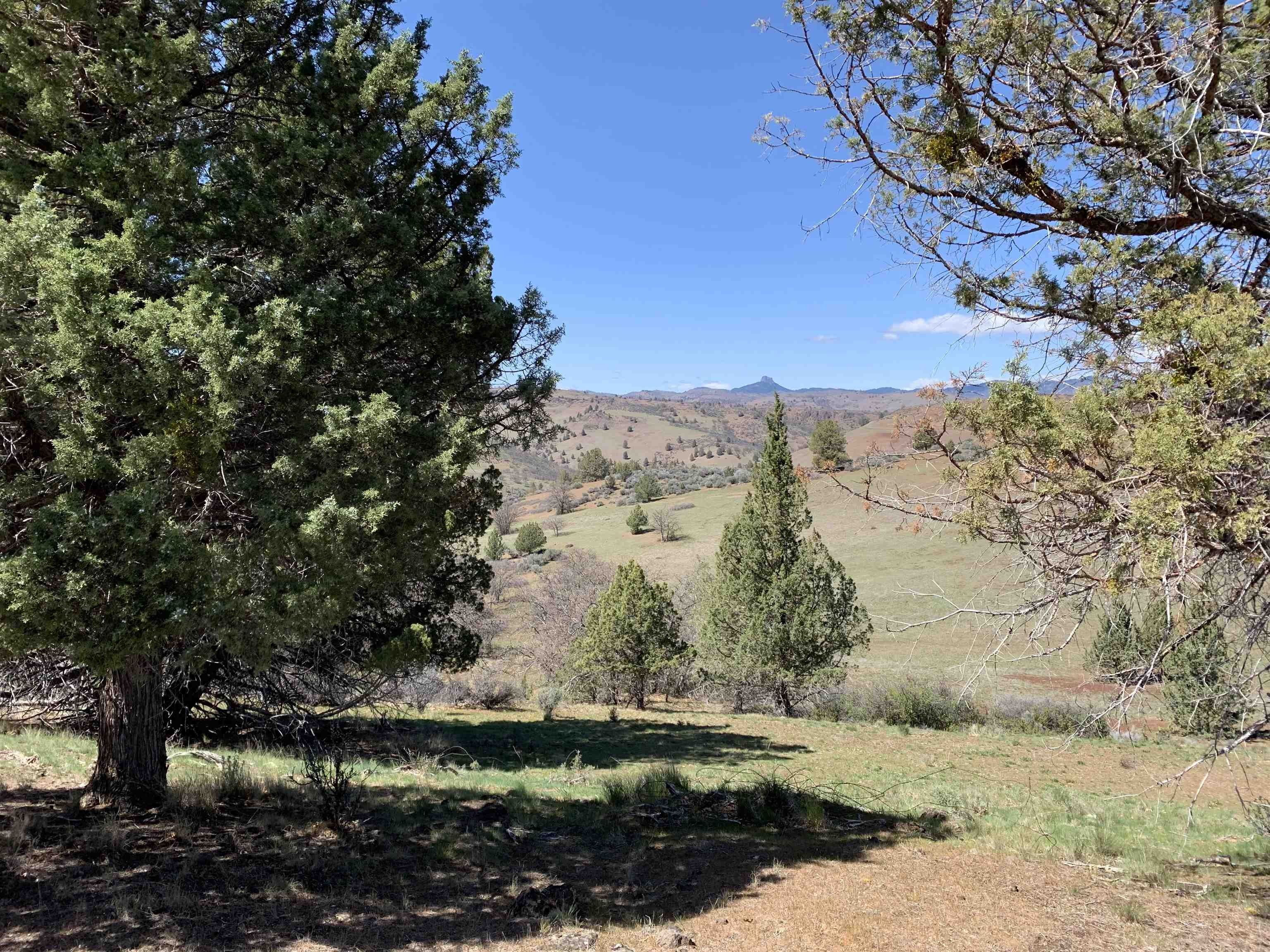 Hornbrook, Siskiyou County, CA Farms and Ranches, Homesites for sale