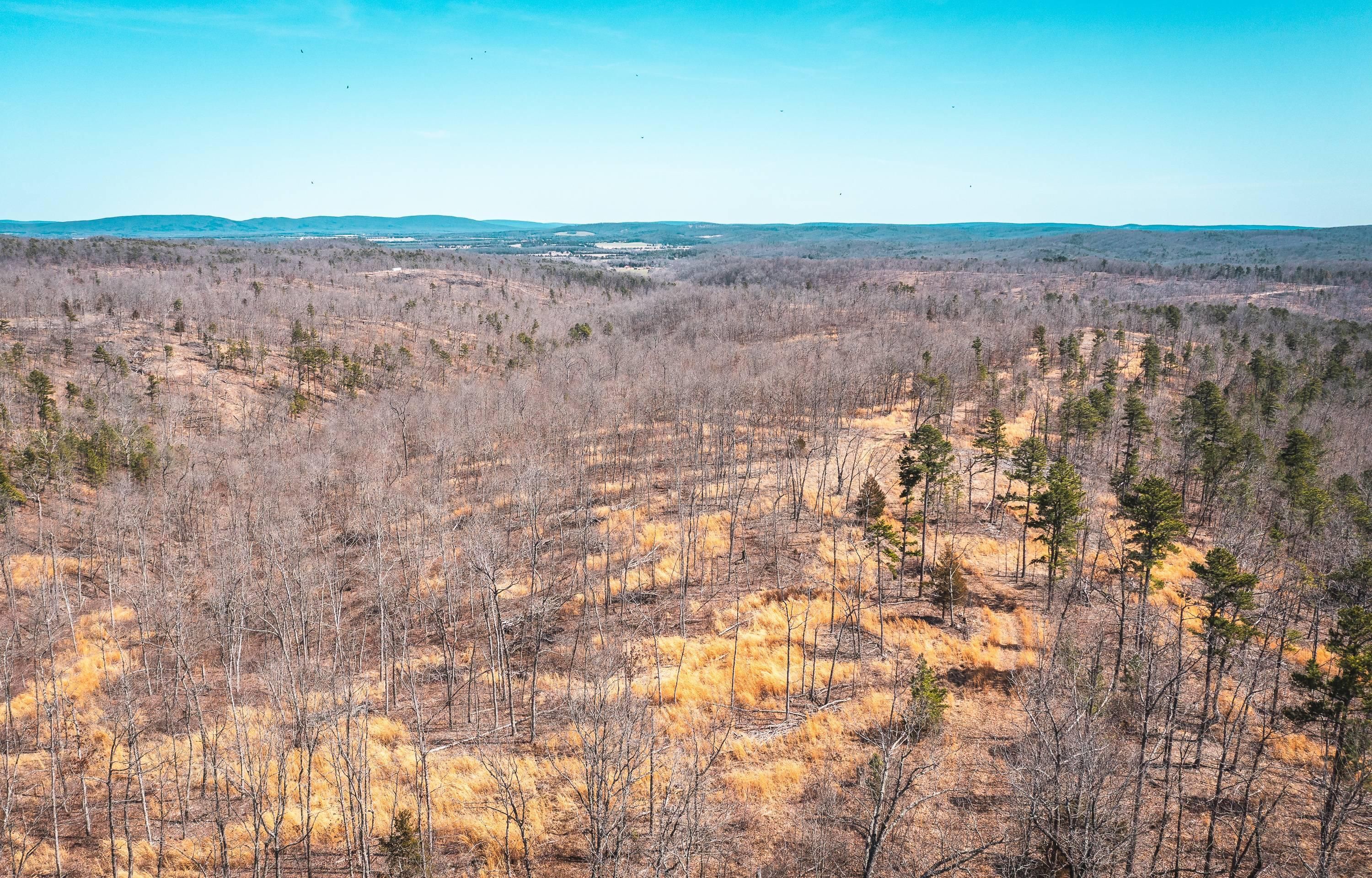 Belleview, Iron County, MO Recreational Property, Undeveloped Land