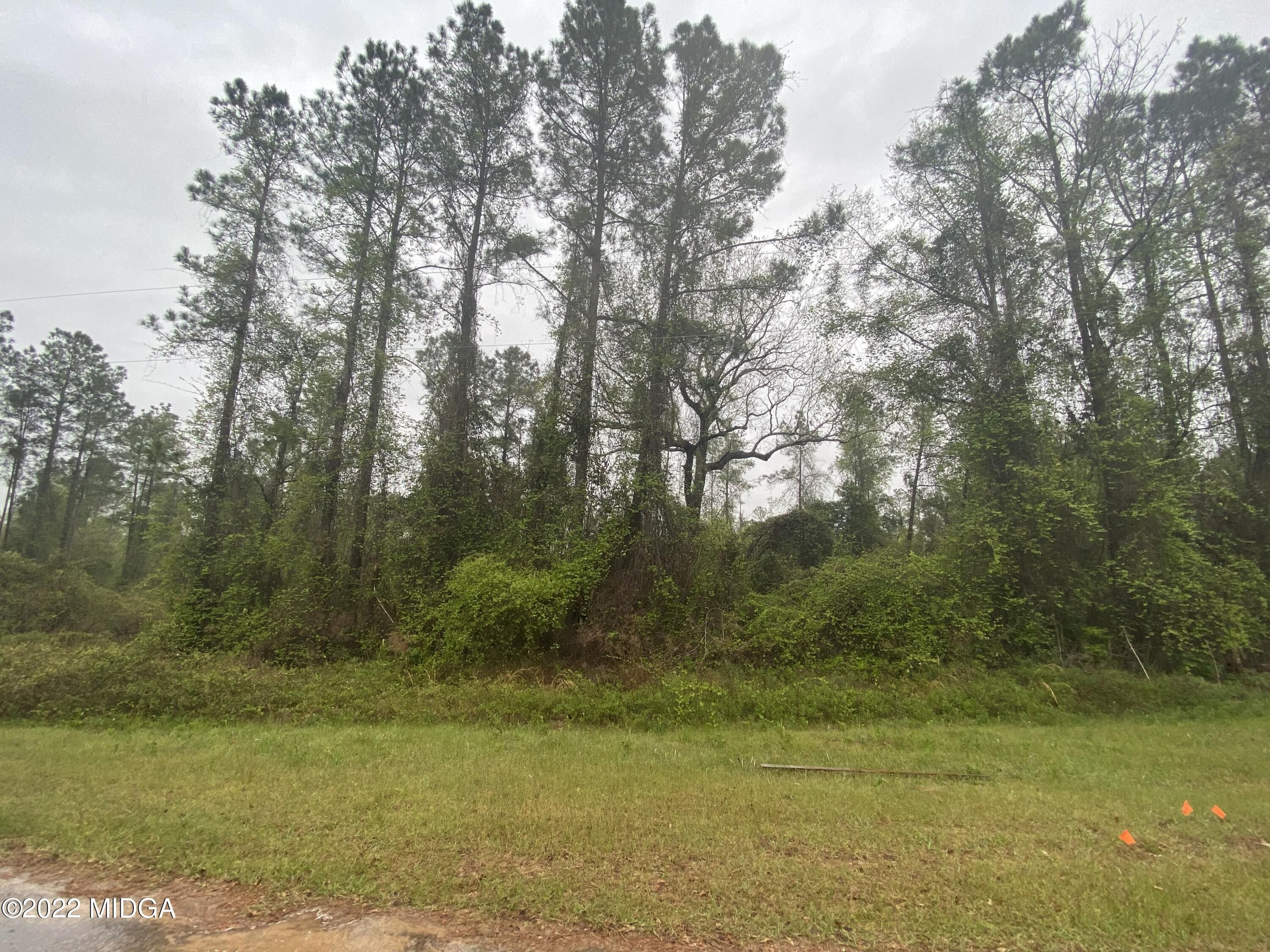 Oglethorpe, Macon County, GA Undeveloped Land, Homesites for sale