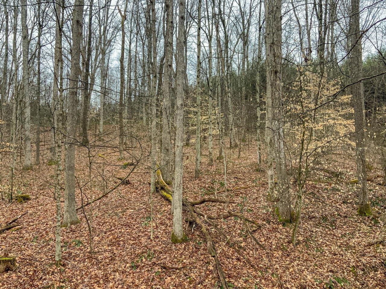 Caldwell, Noble County, OH Recreational Property, Hunting Property for