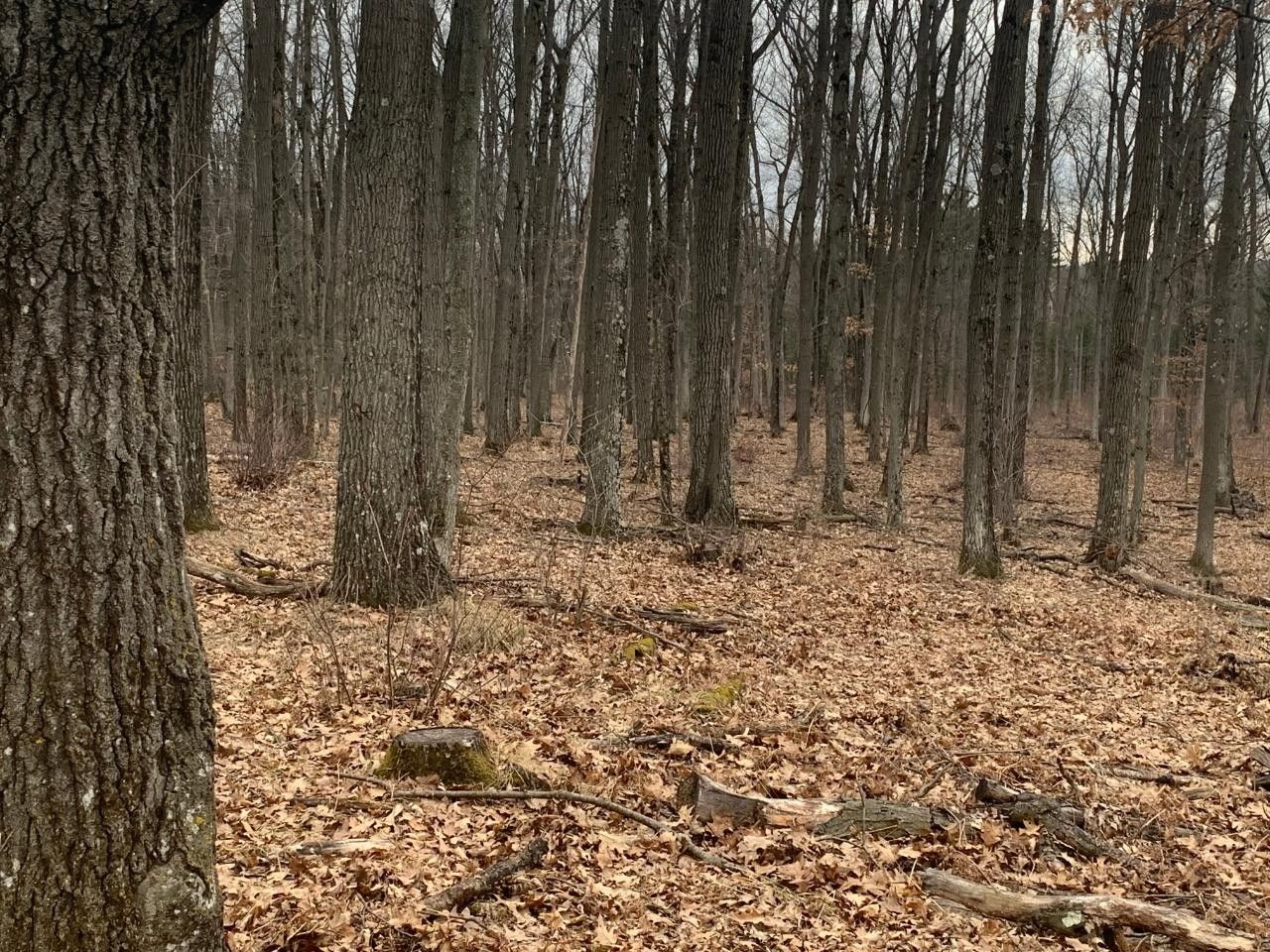 Augusta, Eau Claire County, WI Undeveloped Land for sale Property ID 413287841 LandWatch