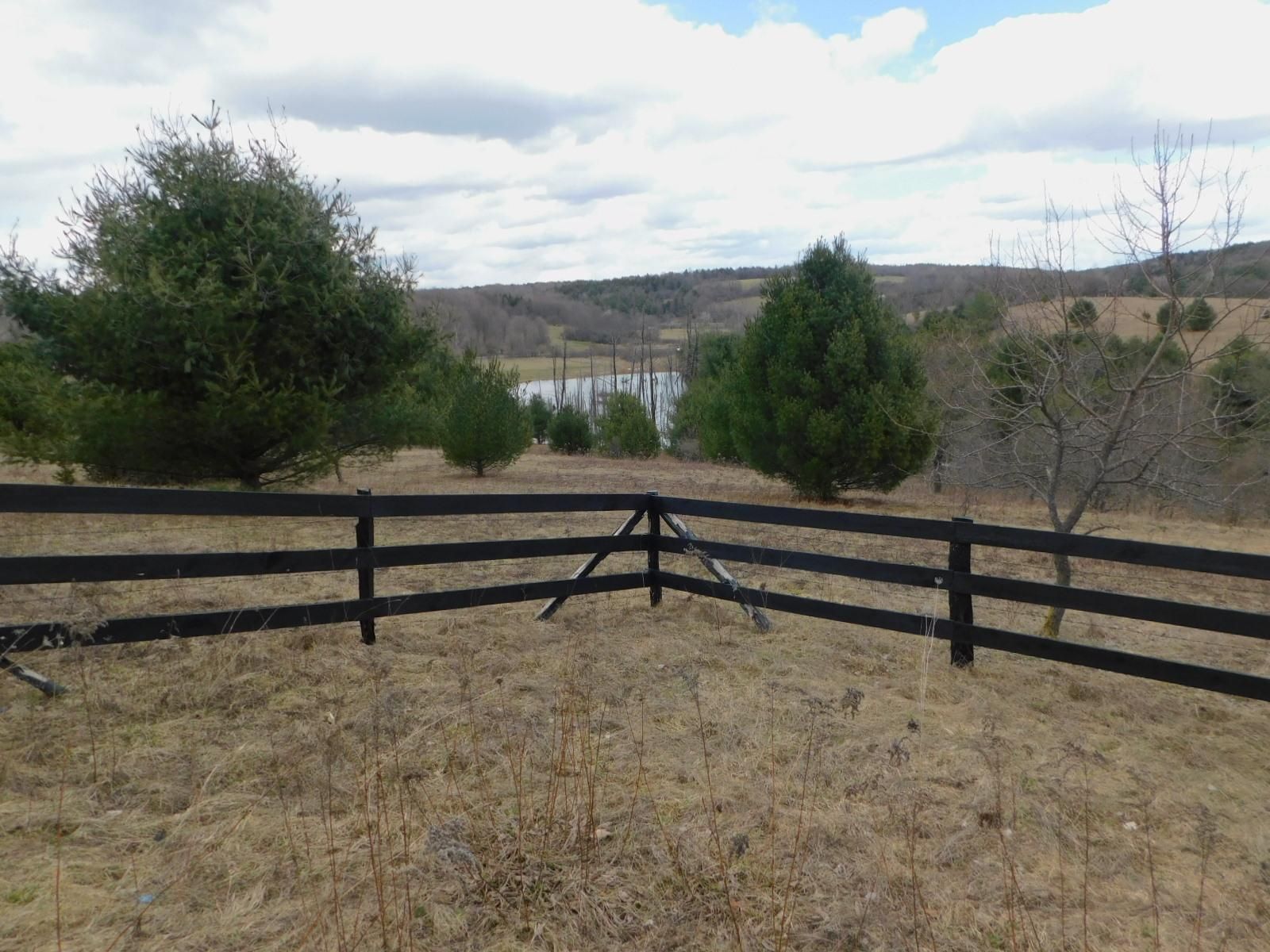 Morris, Otsego County, NY Undeveloped Land, Hunting Property, Horse Property, Riverfront