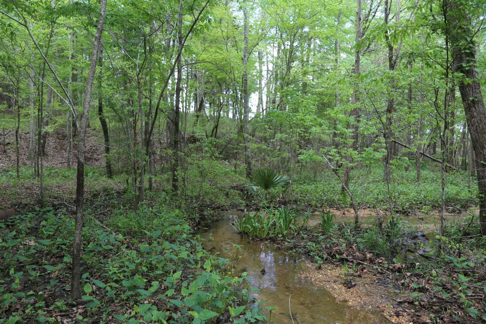Riverview Landing Lot 22, Camden, AL 36726 MLS 2022 LandWatch