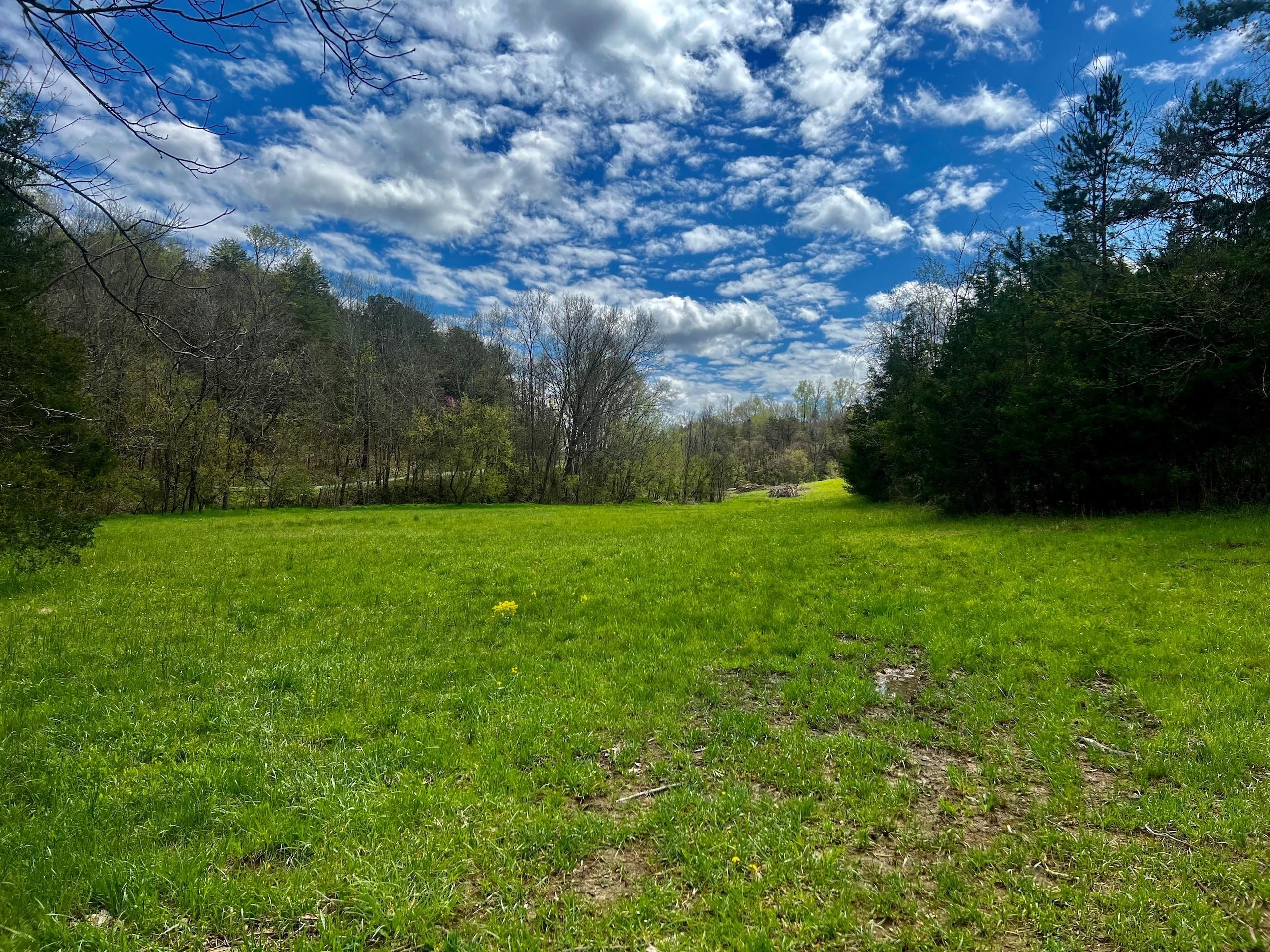 Hilldale Road, LotWp001, Midway, TN 37809 LandWatch