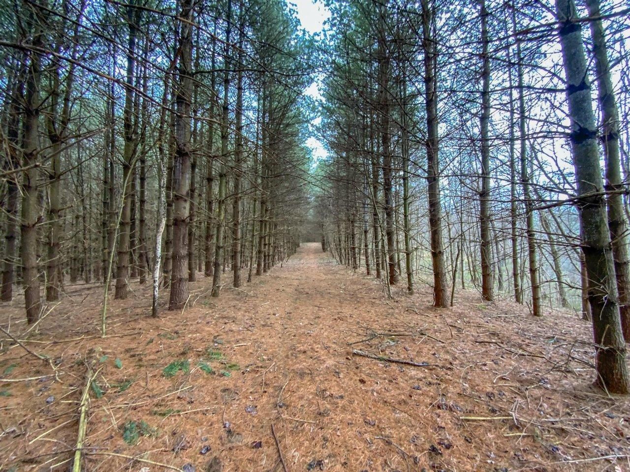 Caldwell, Noble County, OH Recreational Property, Hunting Property for