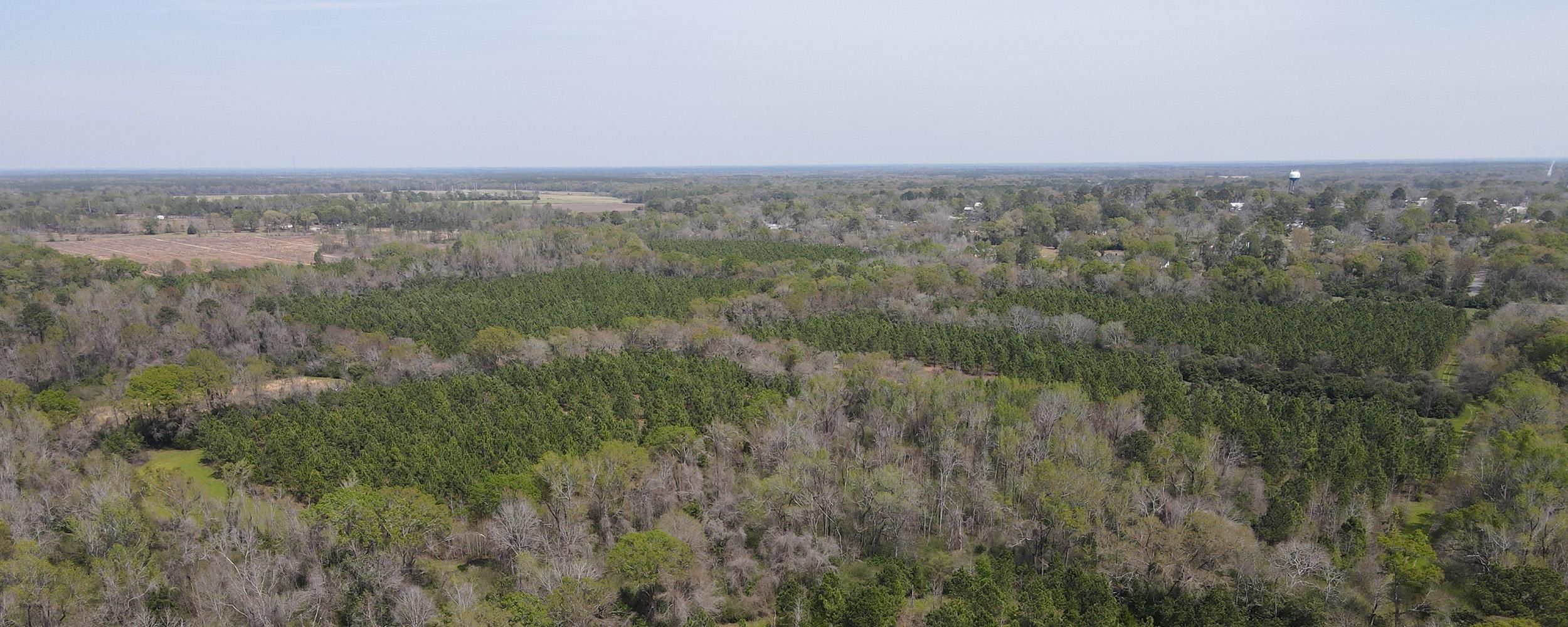 Arlington, Calhoun County, GA Recreational Property, Timberland
