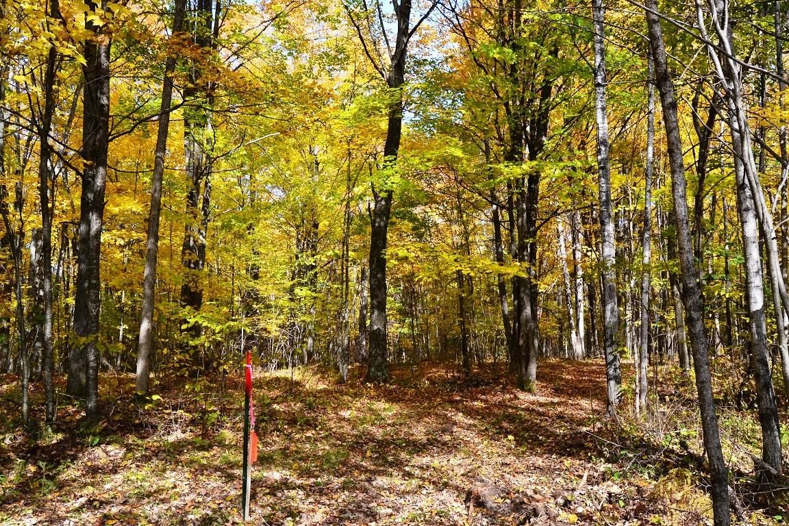 Crandon, Forest County, WI Recreational Property, Hunting Property