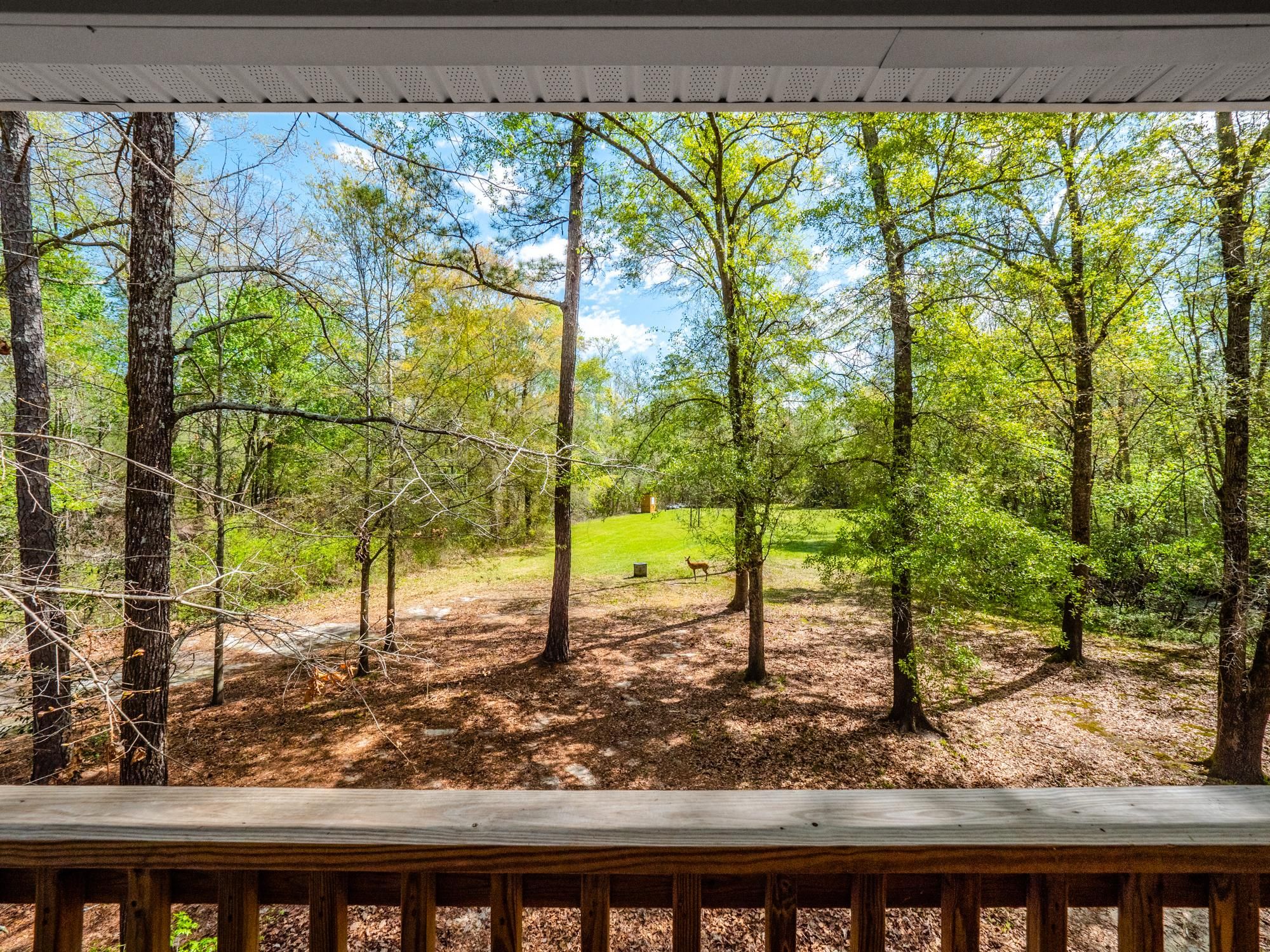 Wallace, Duplin County, NC Recreational Property, Hunting Property, Riverfront Property