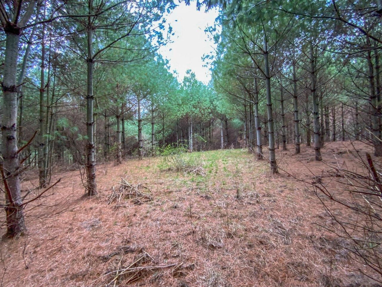 Caldwell, Noble County, OH Recreational Property, Hunting Property for