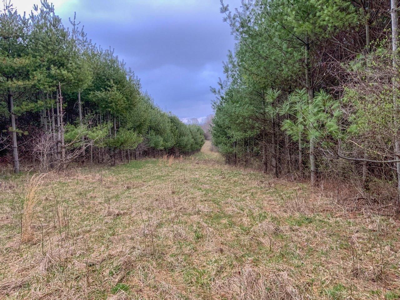 Caldwell, Noble County, OH Recreational Property, Hunting Property for