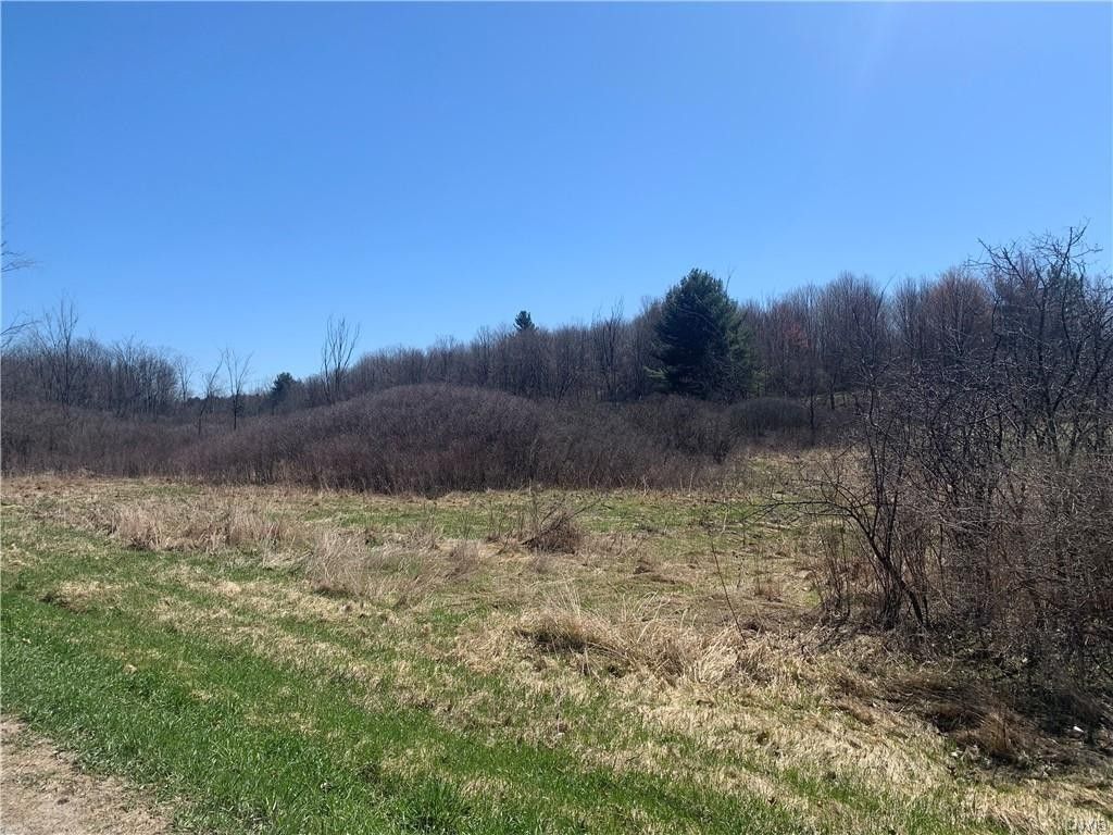 Antwerp, Jefferson County, NY Undeveloped Land for sale Property ID