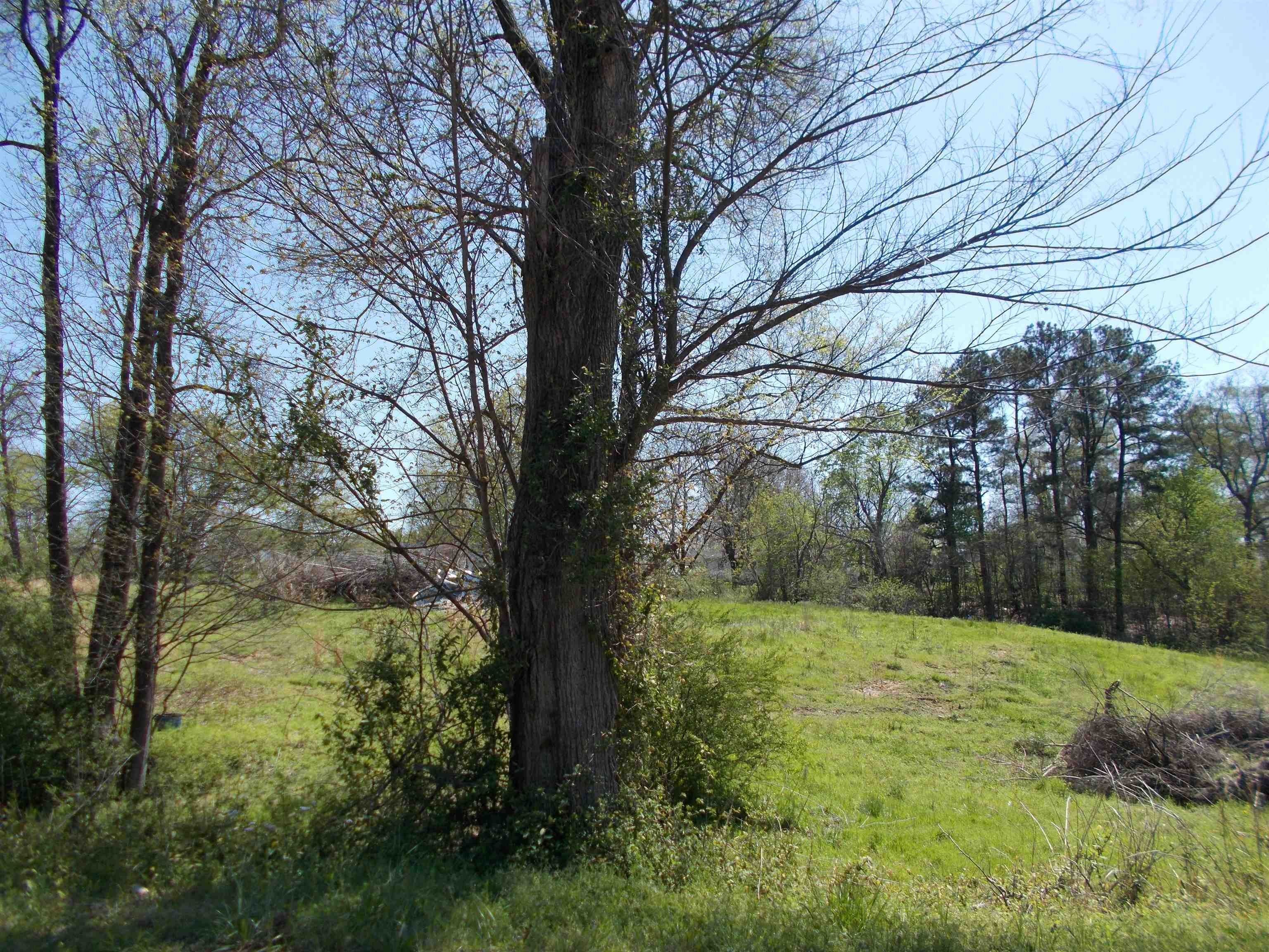 Ripley, Lauderdale County, TN Undeveloped Land, Homesites for sale