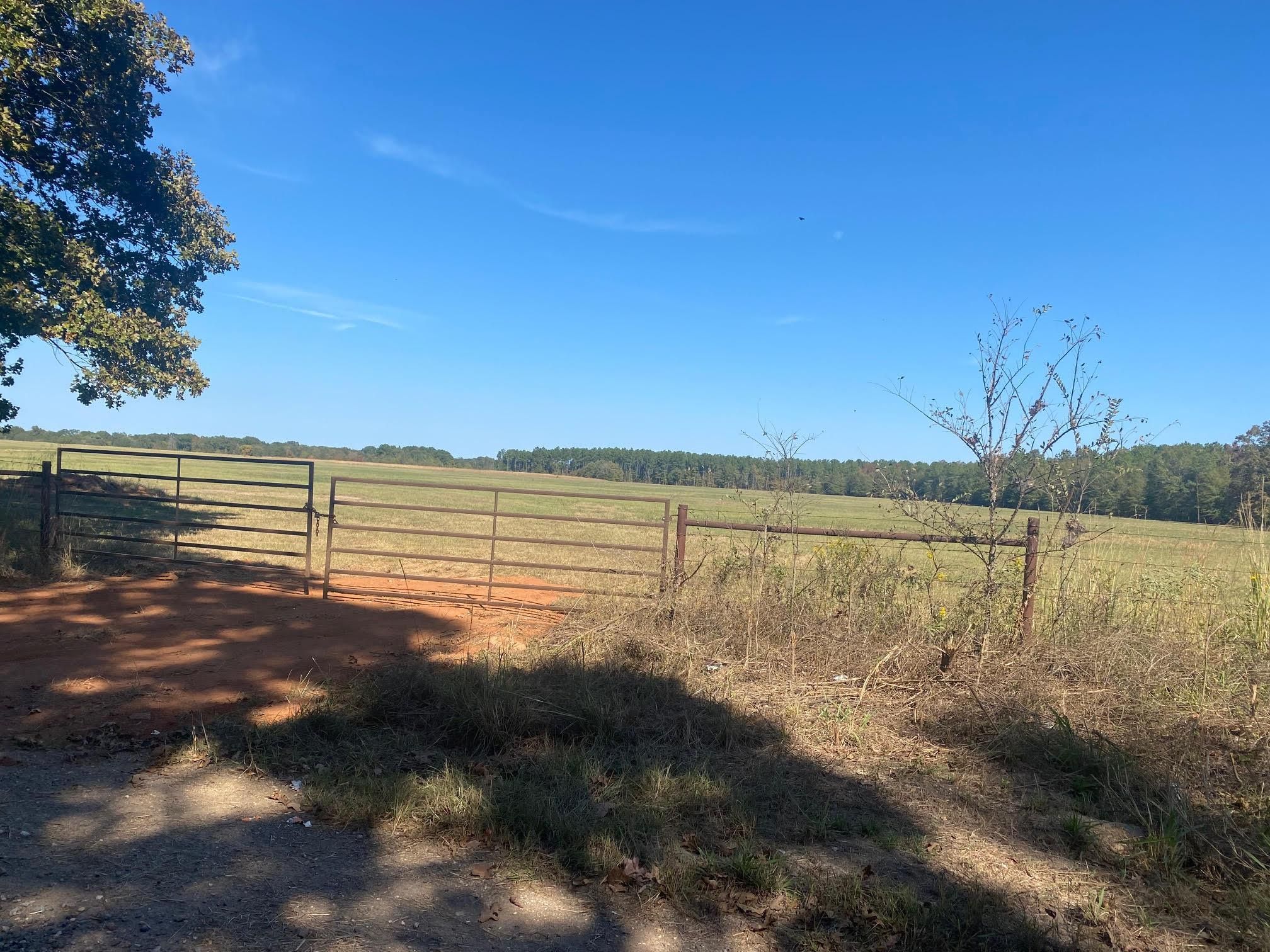 County Road 4239, Simms, TX 75574 LandWatch