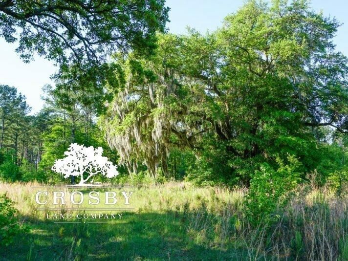 Ridgeland, Jasper County, SC Recreational Property, Hunting Property