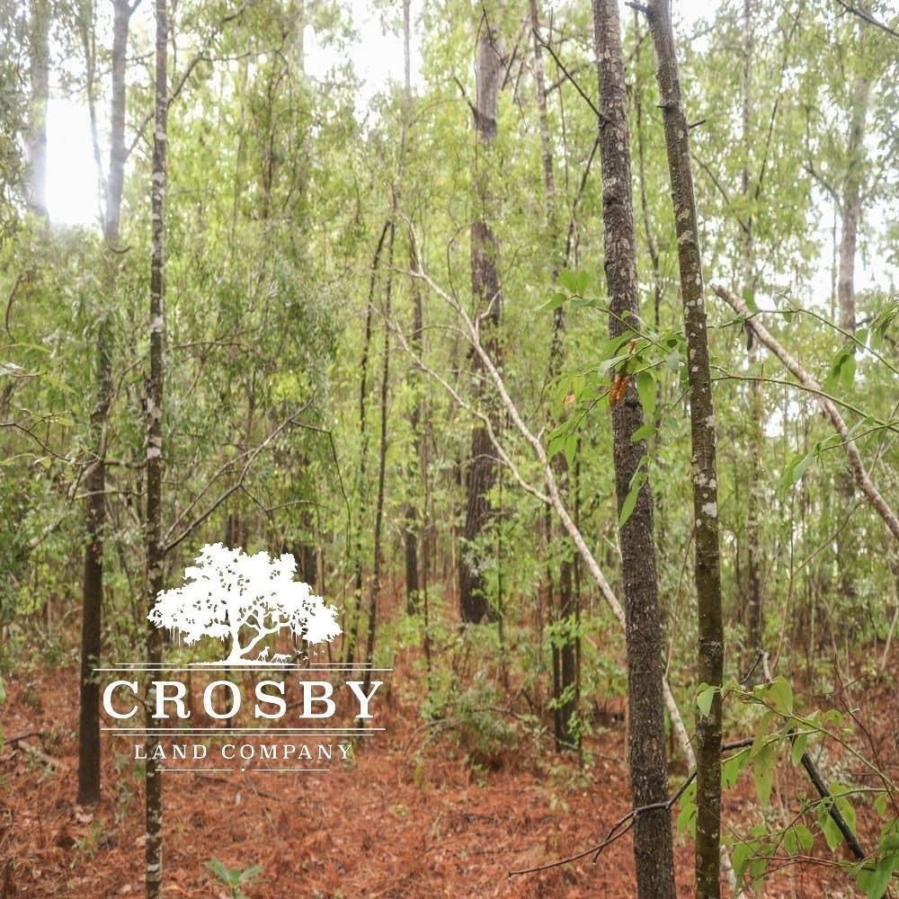 2 acres in Mcclellanville, SC, 29458 LandWatch