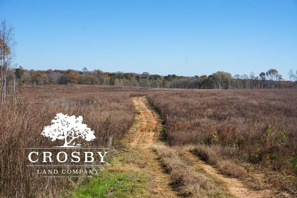 Newberry, Newberry County, SC Recreational Property, Timberland