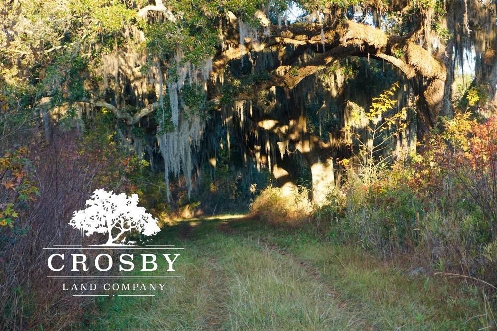 Ridgeland, Jasper County, SC Recreational Property, Hunting Property