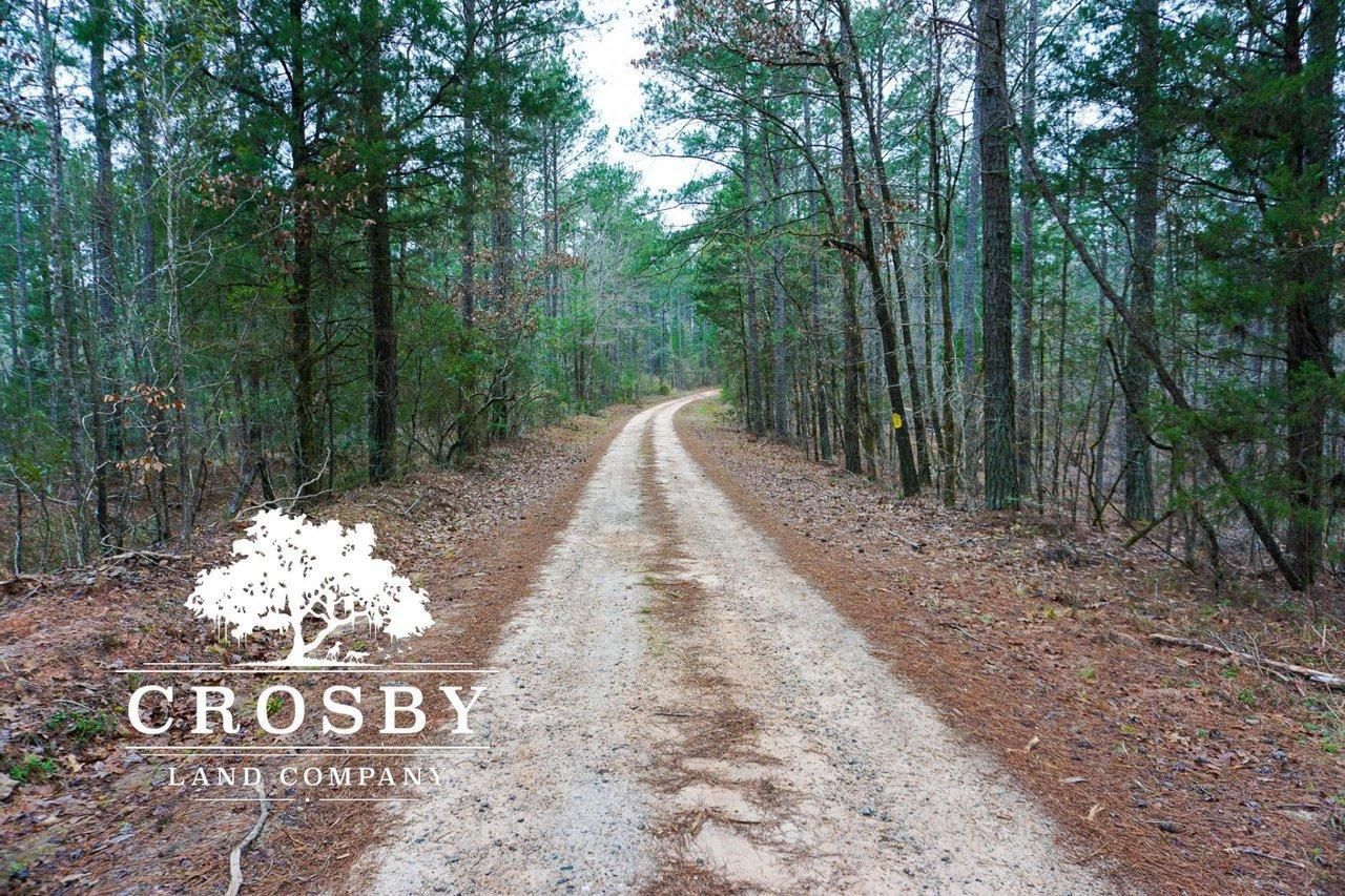 McCormick, McCormick County, SC Recreational Property, Timberland