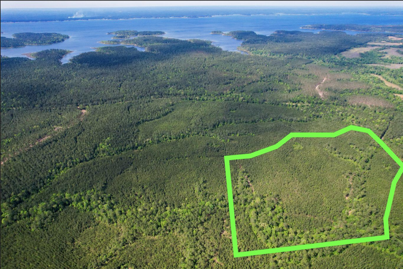 FM 705, Broaddus, TX 75929 LandWatch