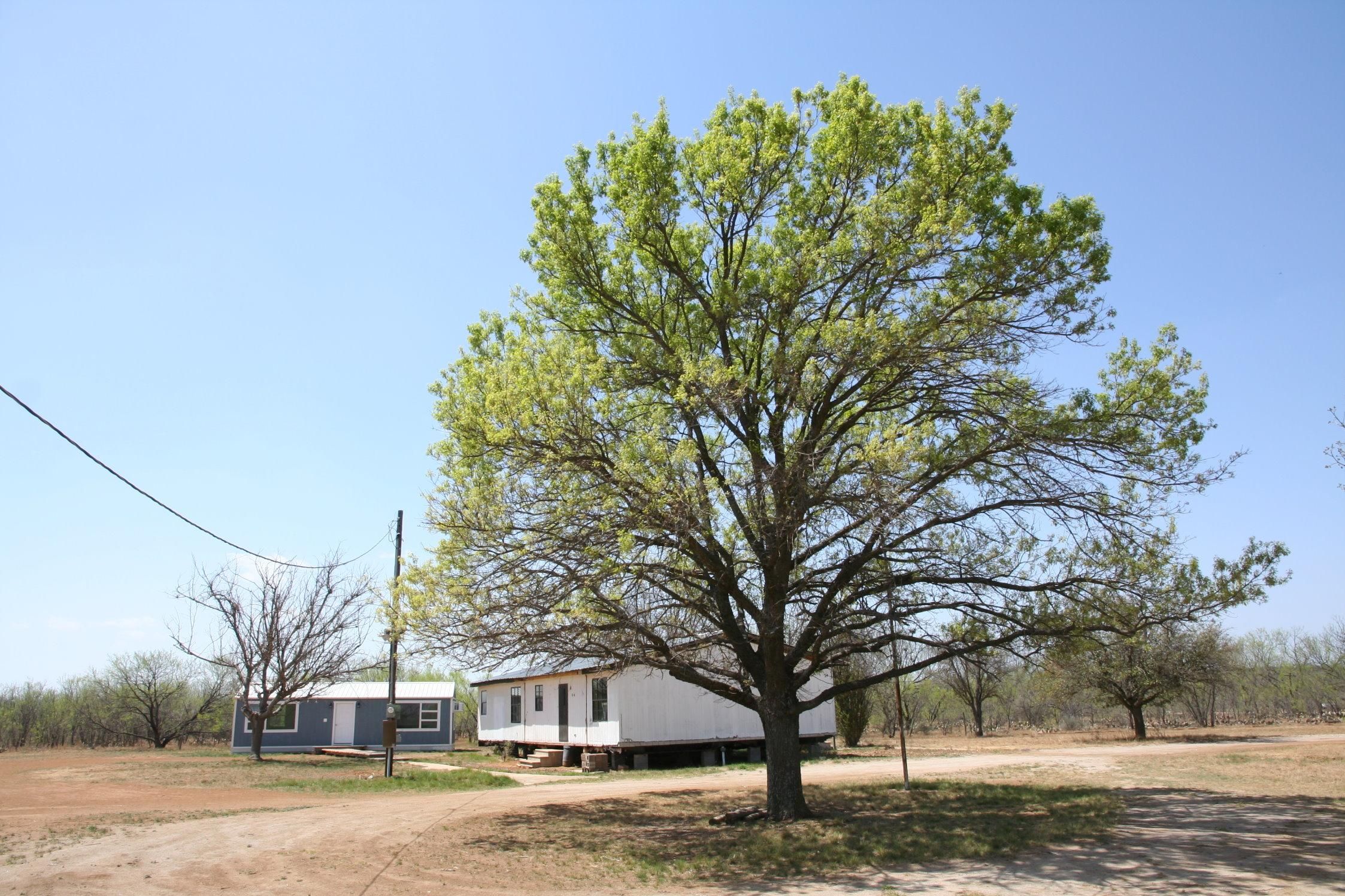 Brownwood, Brown County, TX Farms and Ranches, Hunting Property, House