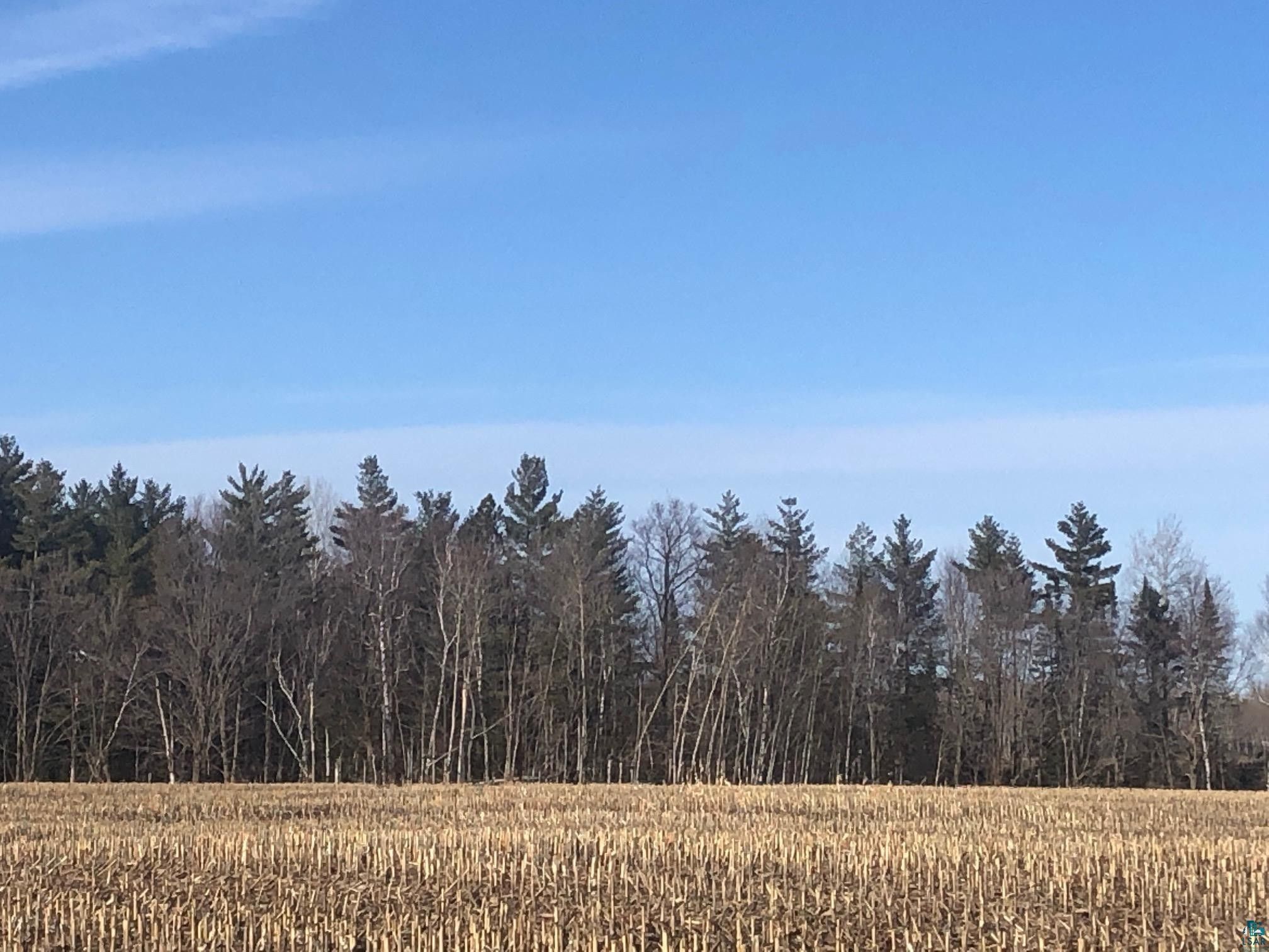 Sanborn, Ashland County, WI Undeveloped Land for sale Property ID