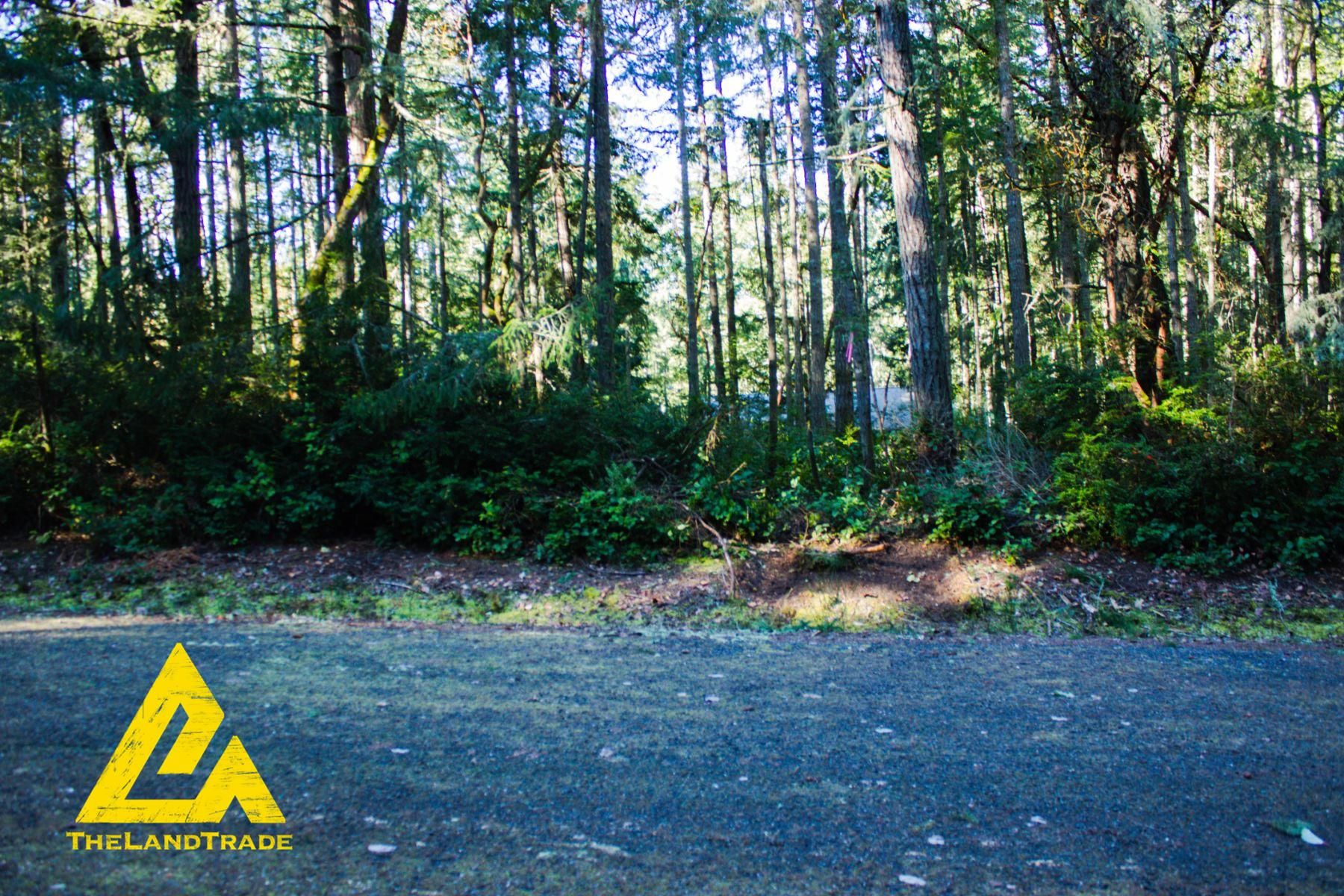 8908 126th Avenue Court, Anderson Island, WA 98303 MLS WA001, Sold