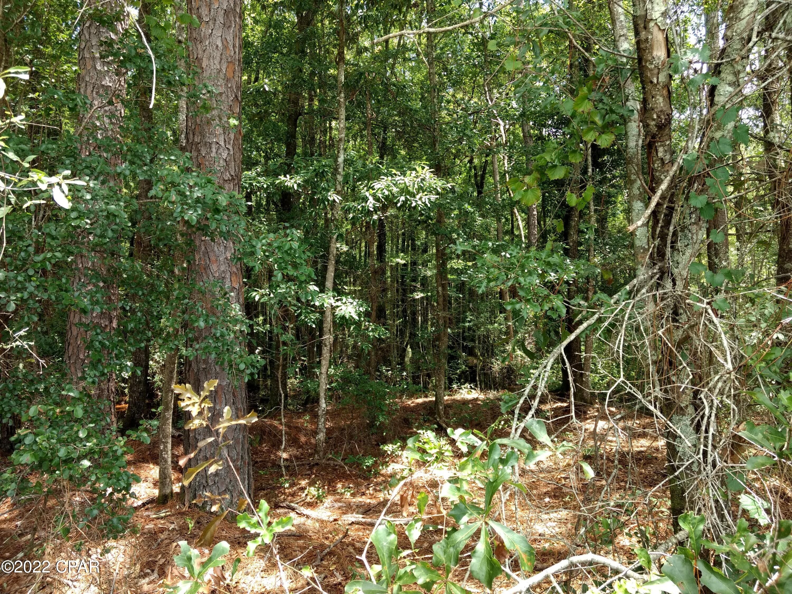 Bonifay, Holmes County, FL Undeveloped Land for sale Property ID