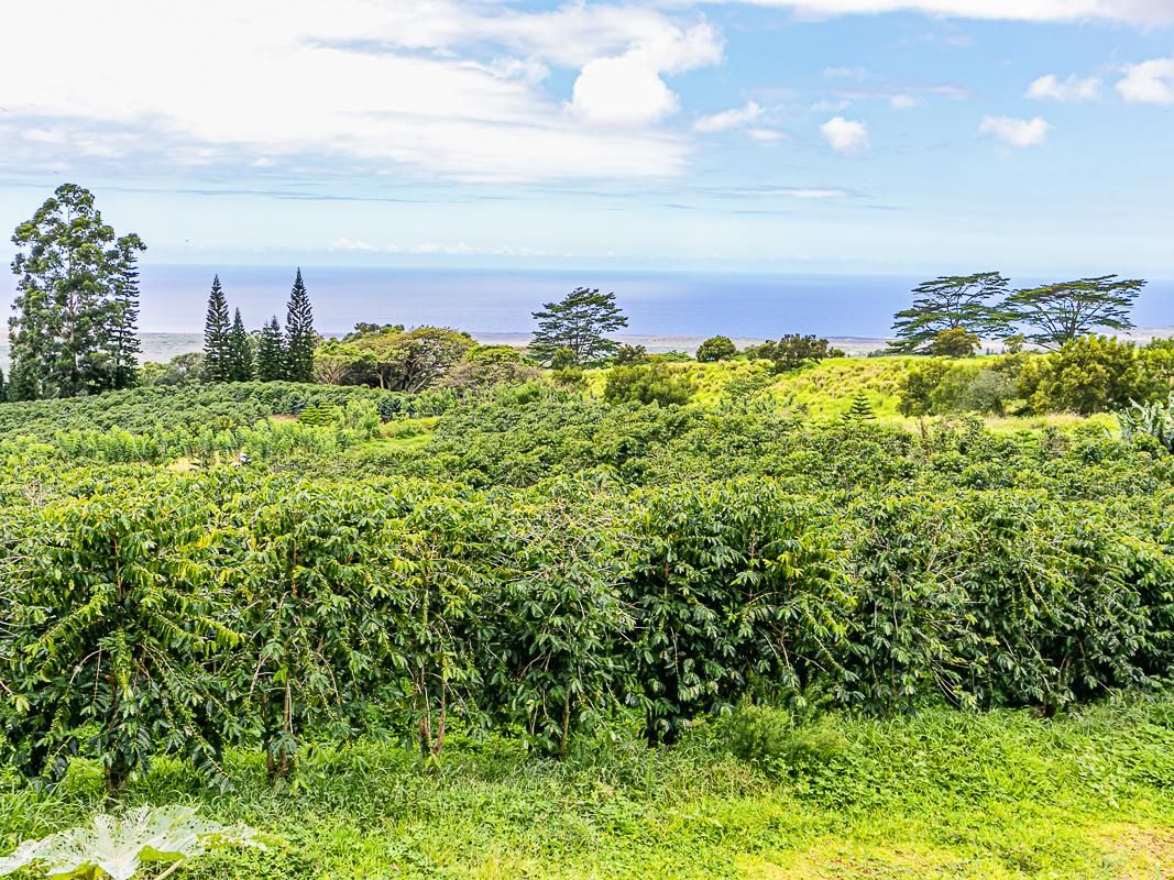 Pahala, Hawaii County, HI Farms and Ranches for sale Property ID