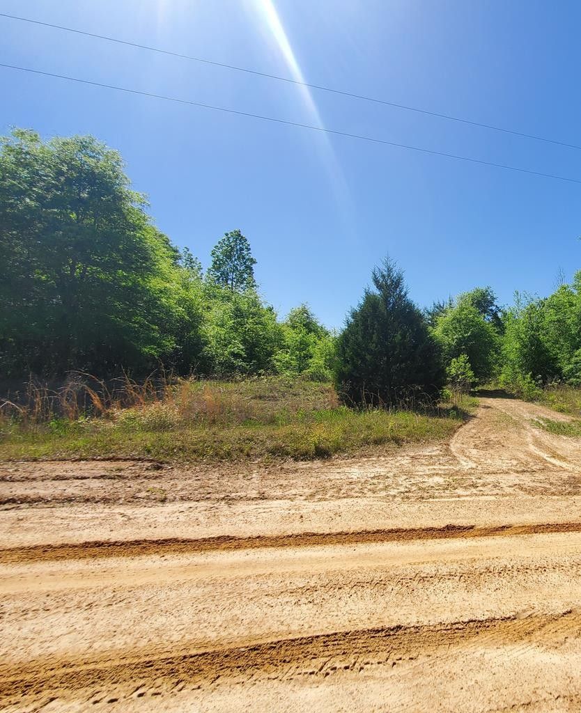 Abbeville, Henry County, AL Undeveloped Land for sale Property ID