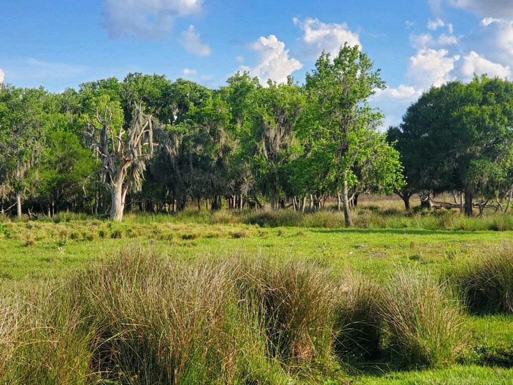 Venus, Highlands County, FL Farms and Ranches, Hunting Property for