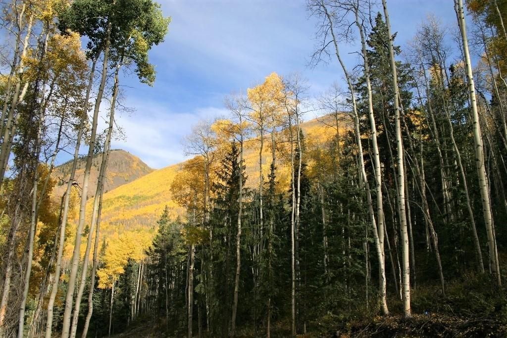 Lake City, Hinsdale County, CO Farms and Ranches, Undeveloped Land