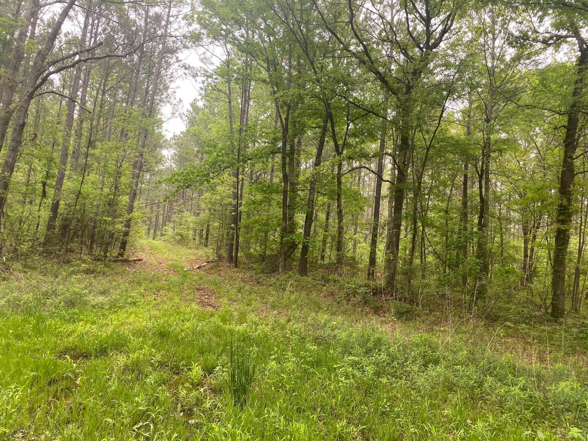 Simms, Bowie County, TX Recreational Property, Hunting Property for