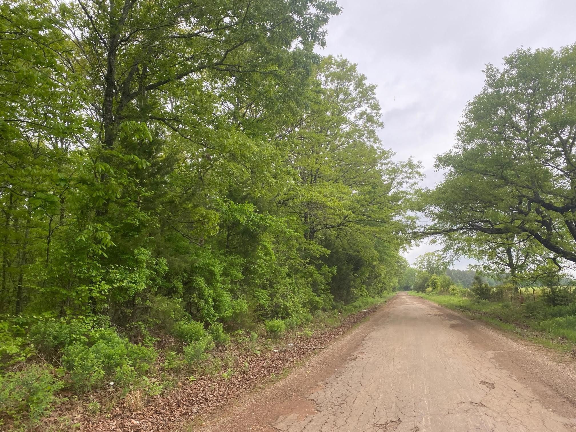 County Road 4239, Simms, TX 75574 LandWatch