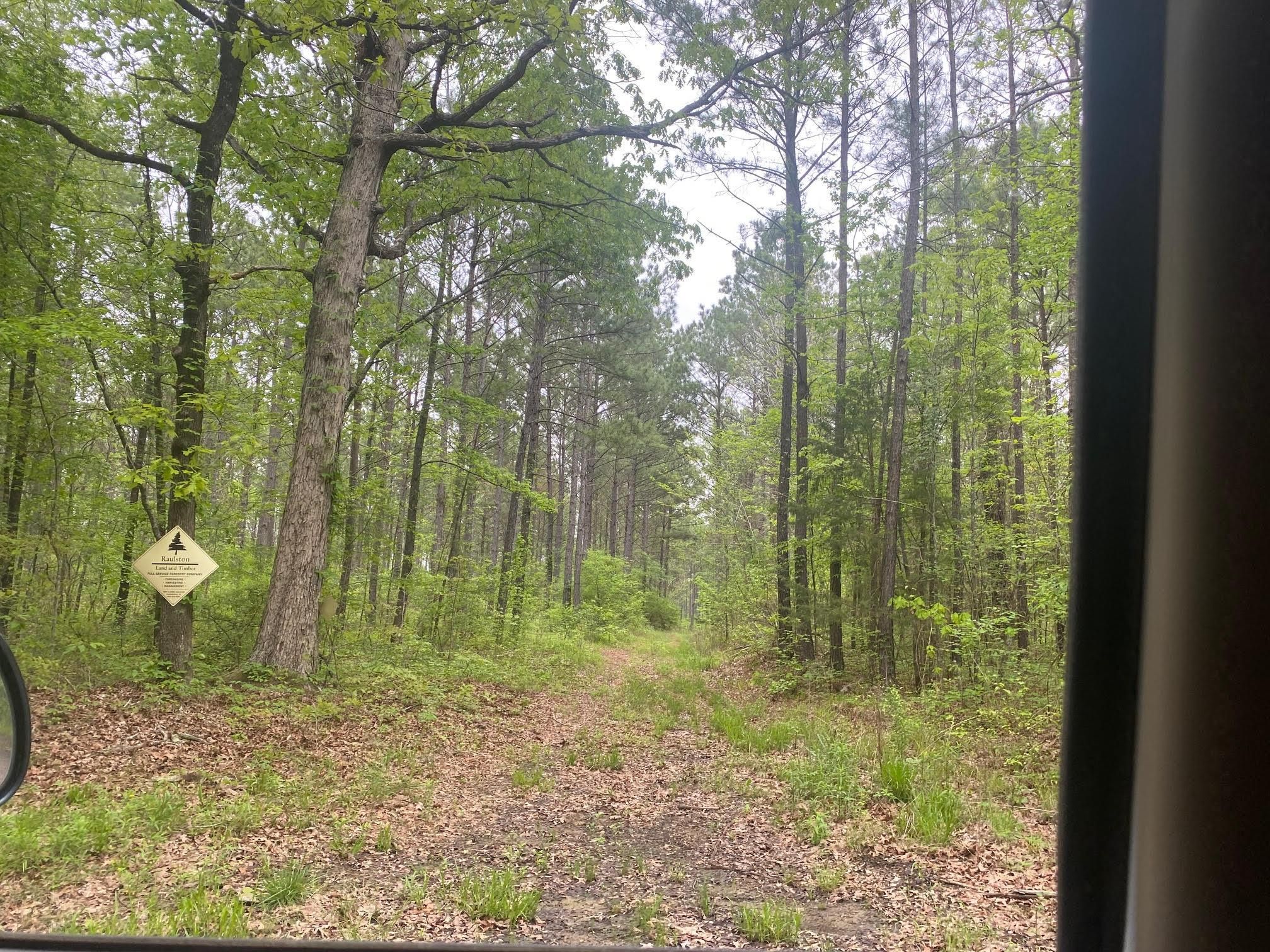 Simms, Bowie County, TX Recreational Property, Hunting Property for