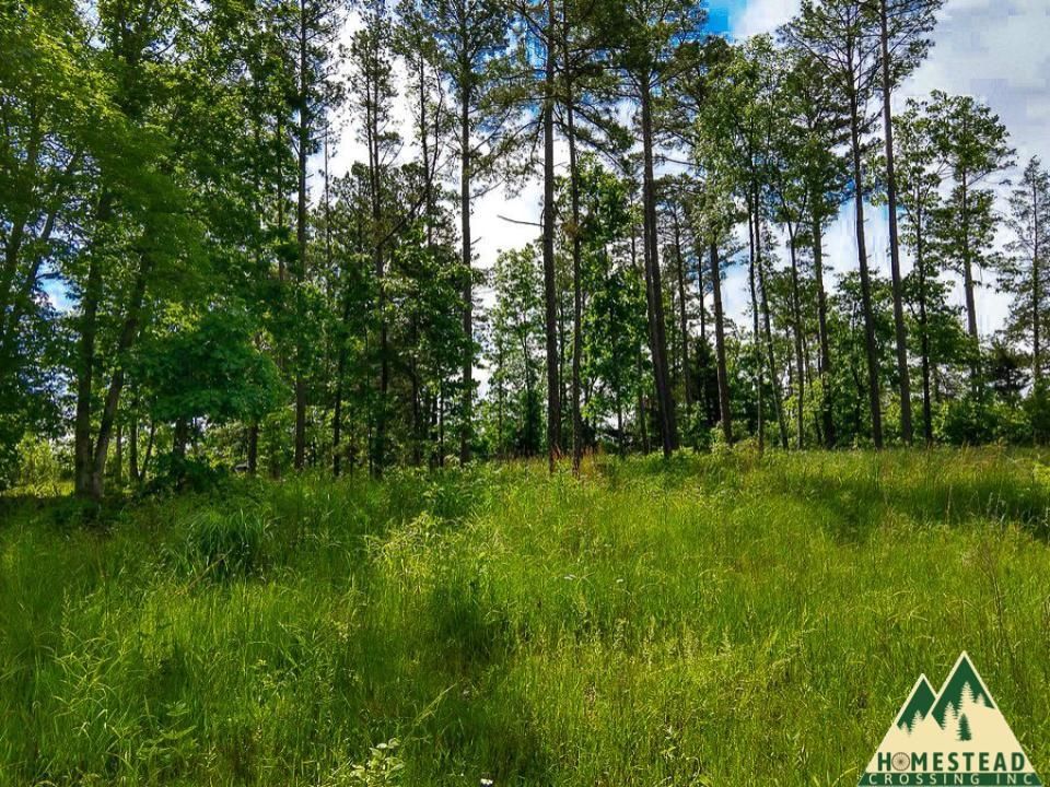 Houston, Texas County, MO Recreational Property, Undeveloped Land