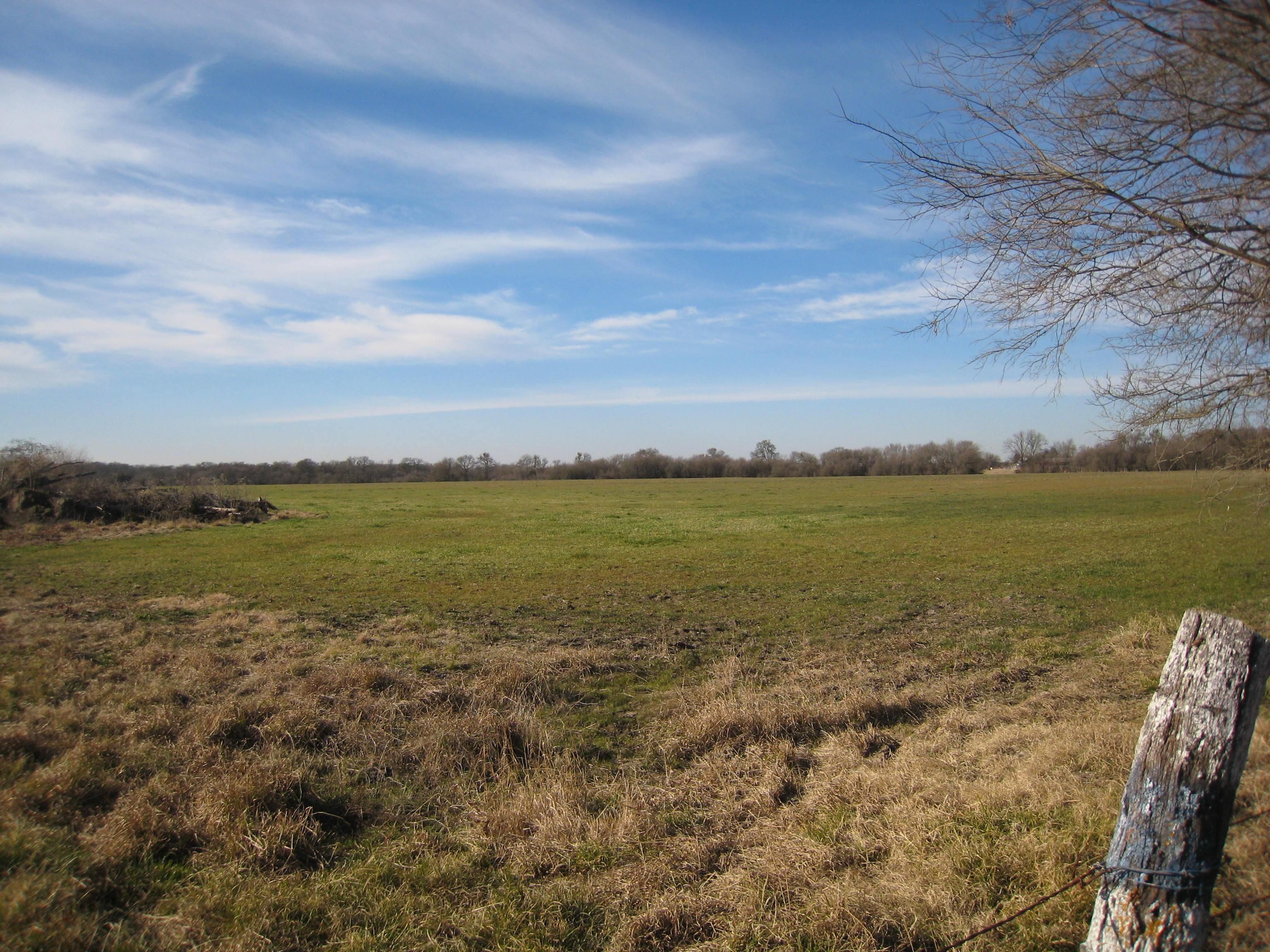 Celeste, Hunt County, TX Farms and Ranches, Undeveloped Land for sale