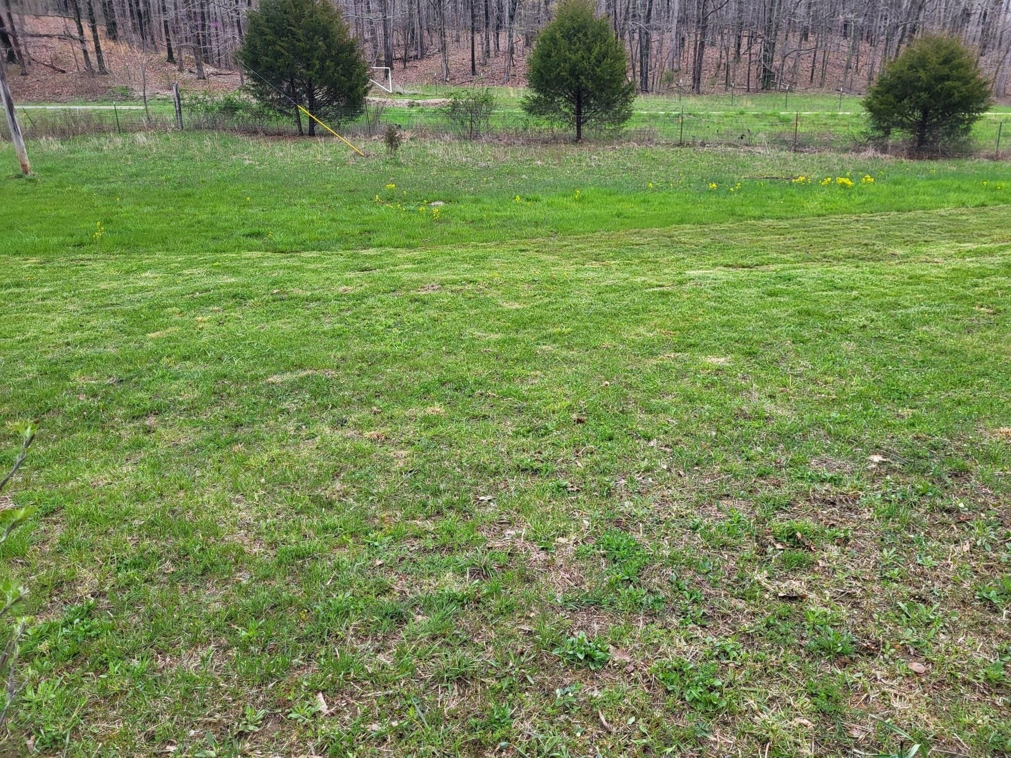Willow Springs, Texas County, MO Undeveloped Land, Homesites for sale