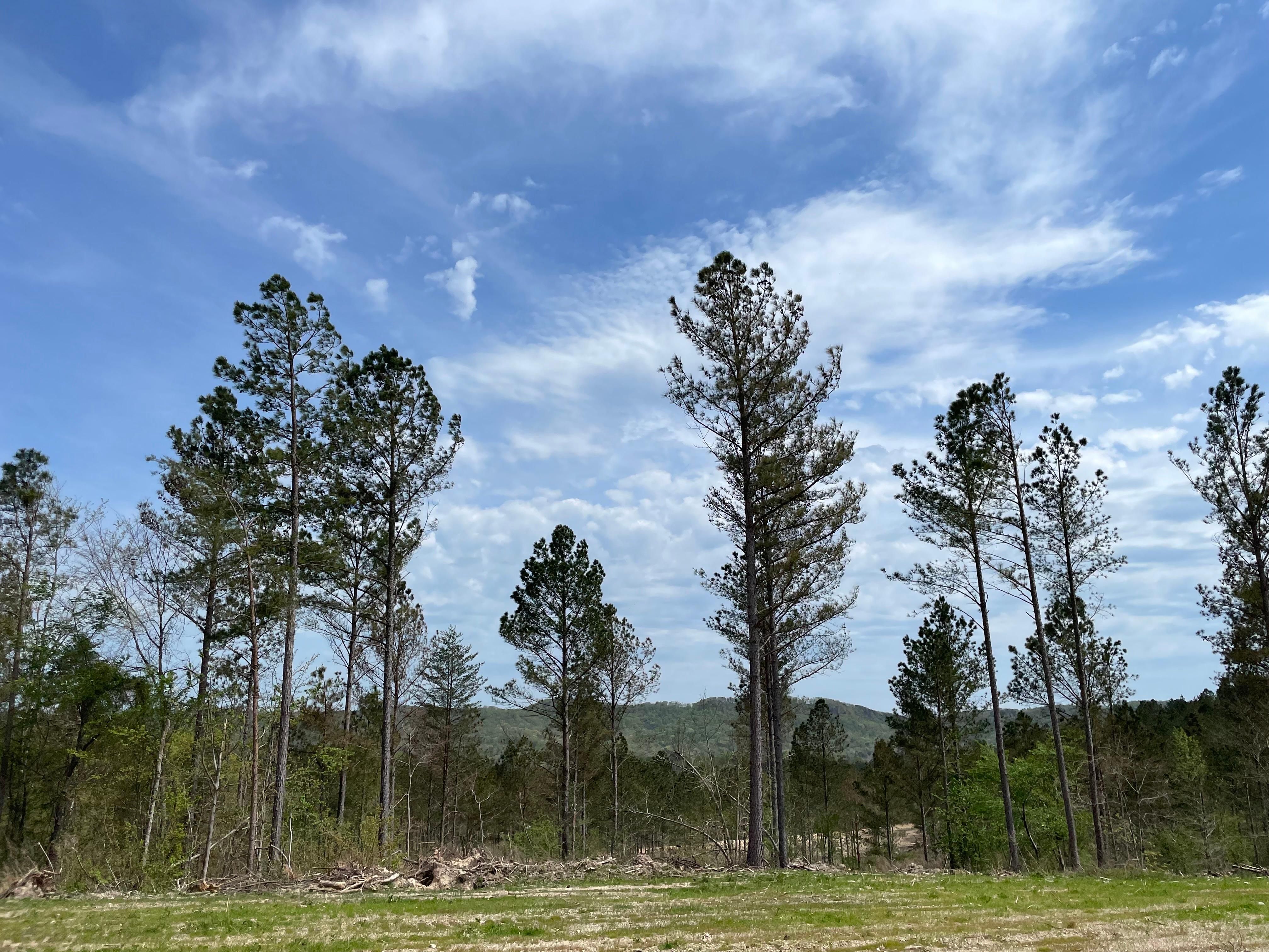 Lyerly, Chattooga County, GA Recreational Property, Timberland Property
