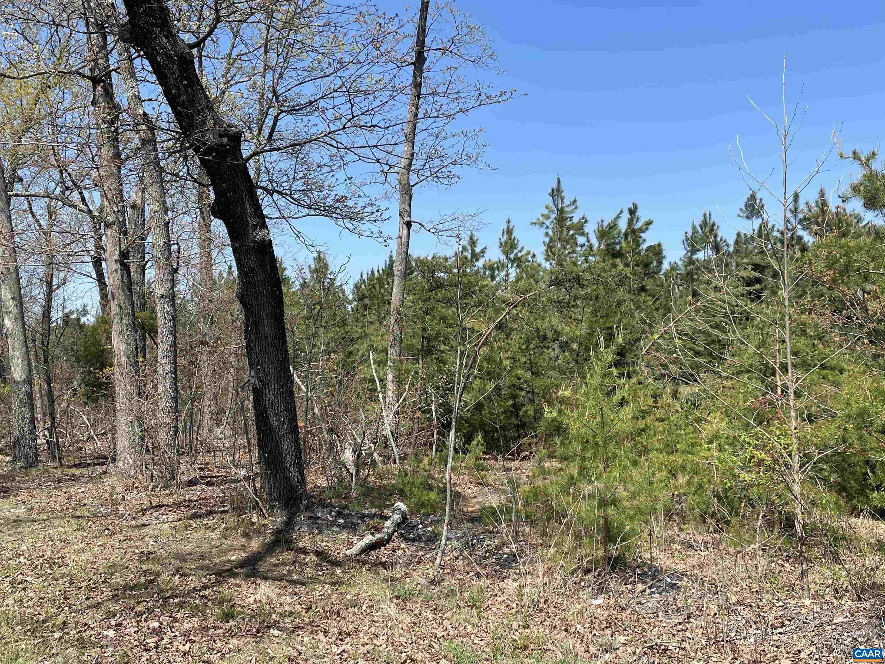 Bremo Bluff, Fluvanna County, VA Farms and Ranches for sale Property ID