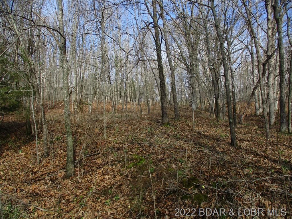 Gravois Mills, County, MO Farms and Ranches, Homesites for sale