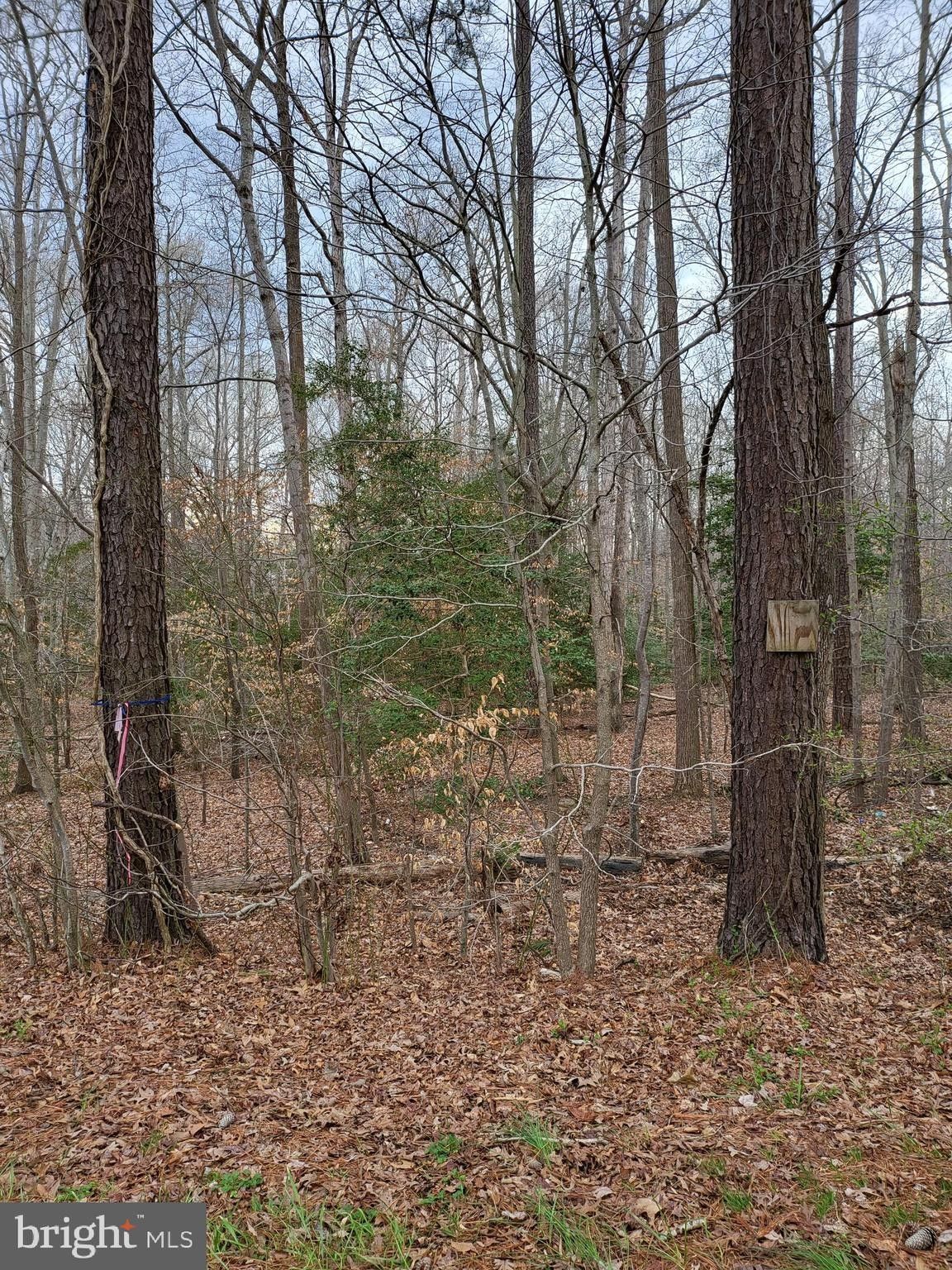 Lexington Park, Saint Mary's County, MD Undeveloped Land for sale