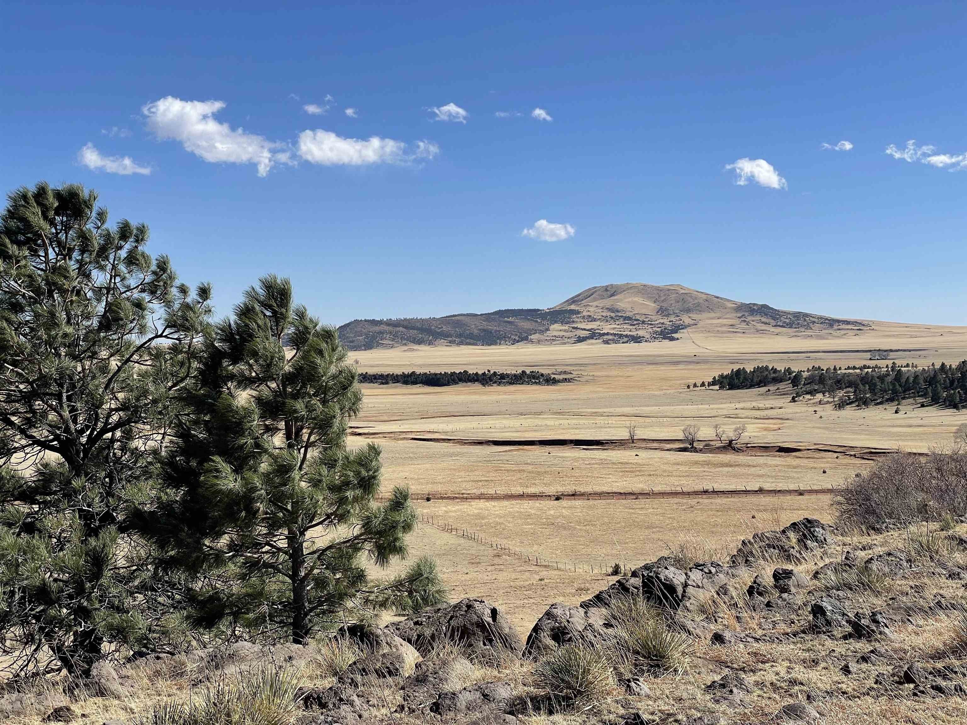 Ocate, Mora County, NM Undeveloped Land for sale Property ID 413329939 LandWatch