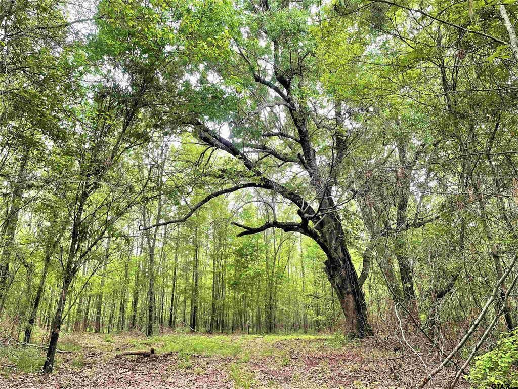 85 acres in Annona, TX, 75550 LandWatch